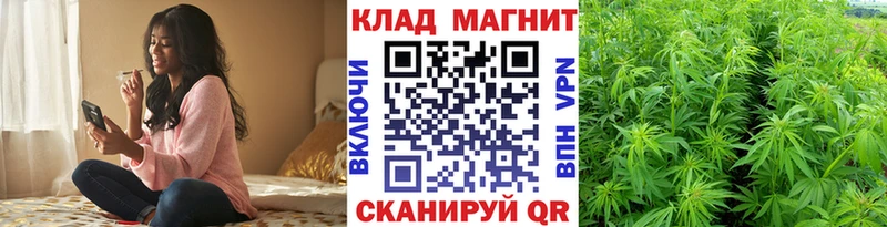 Наркошоп купить СК  КОКАИН  Меф мяу мяу  МАРИХУАНА  АМФЕТАМИН  ГАШИШ  Ильский