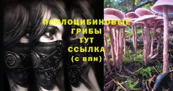 соль курить ск Белоозёрский